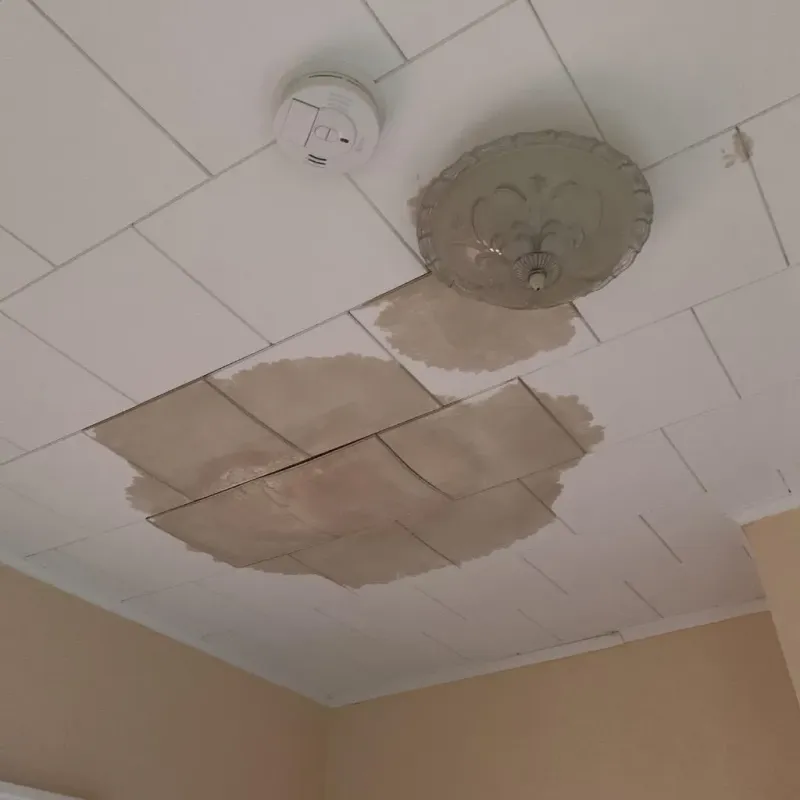 Ceiling Water Damage Repair in Heritage Lake, IN