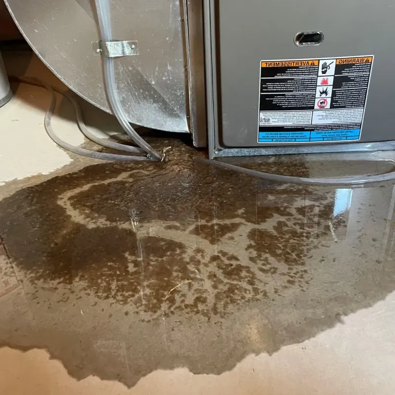 Pipe Burst and Leak Restoration in Heritage Lake, IN