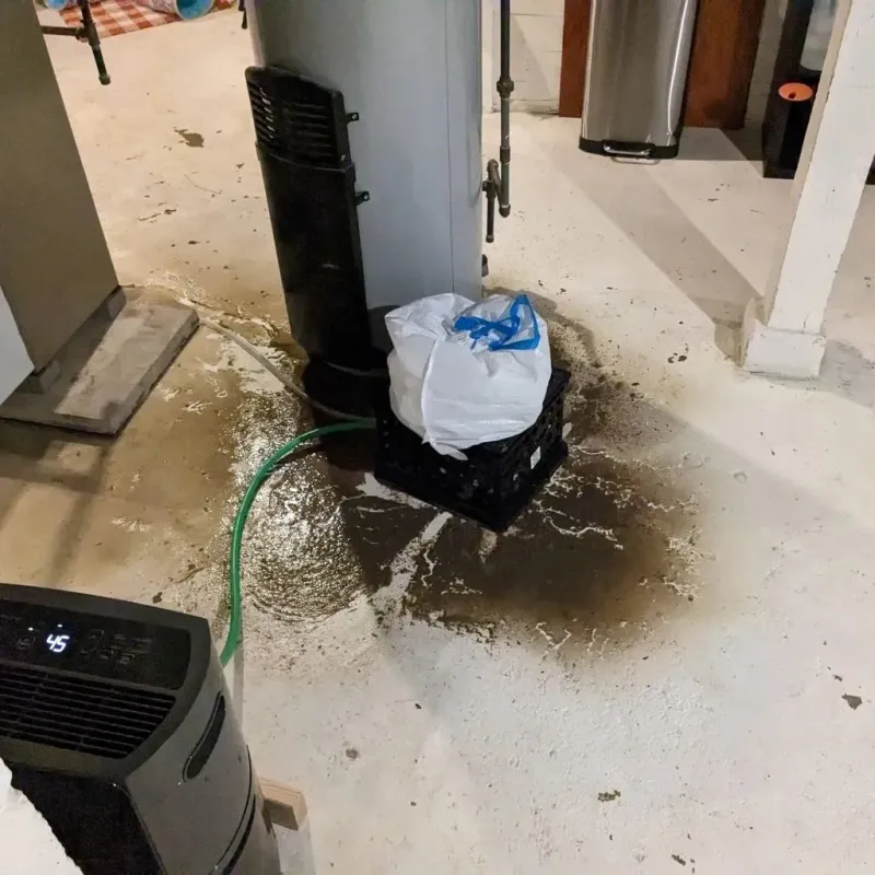Sewage Backup Cleanup Service in Heritage Lake, IN